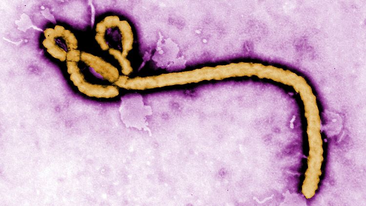 Ebola kann durch direkten Kontakt mit Erkrankten und deren Blut, Körperflüssigkeiten oder Ausscheidungen übertragen werden. 