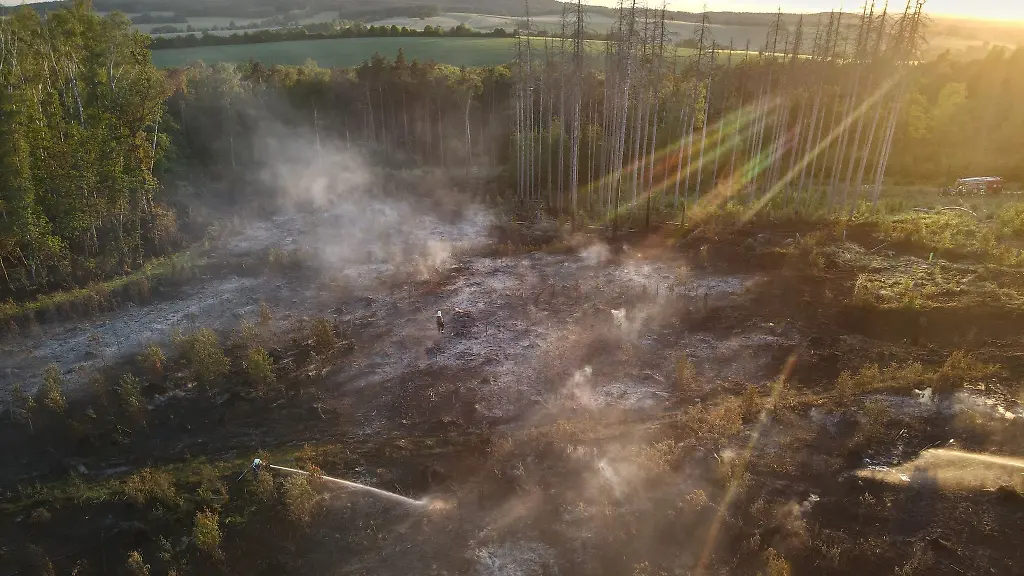 Im-Abendlicht-geht-ein-Feuerwehrmann-ueber-die-verbrannte-Flaeche-eines-Waldbrandes