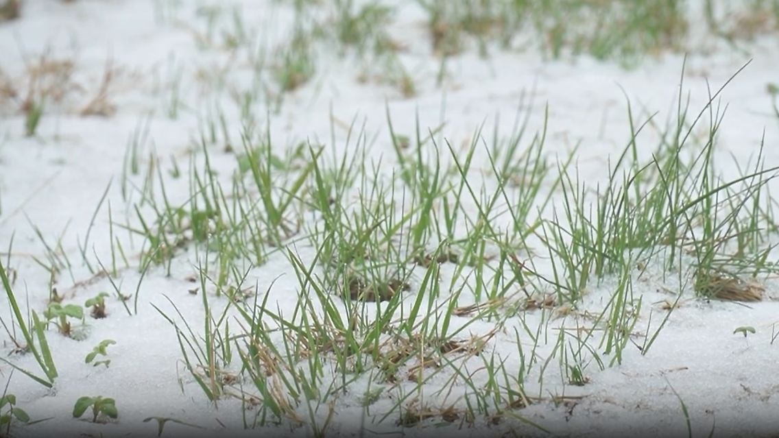 Schnee.jpg