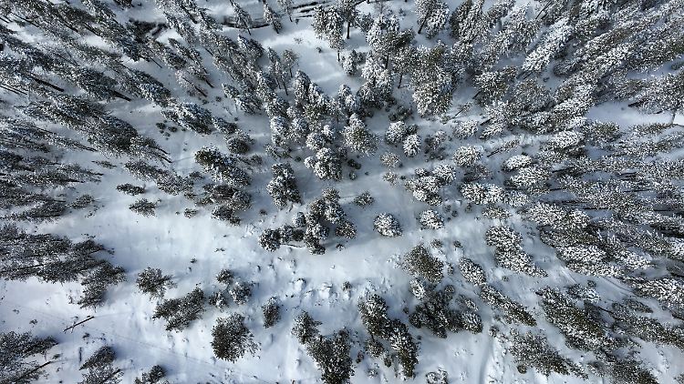 Starker Schneefall hatte die Suche nach der 28-Jährigen erschwert.