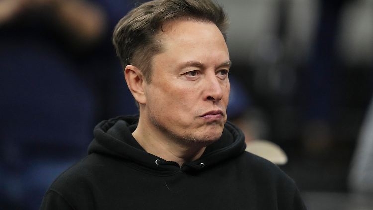 Musk bekundete auch seine Unterstützung für die AfD in Deutschland.