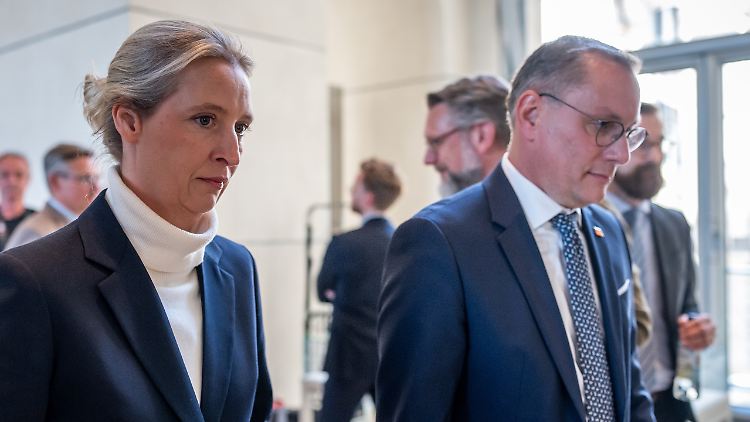Bedient, dass ihre ersten Kandidaten für Ausschussvorsitze abgelehnt wurden: die AfD-Bundessprecher Weidel und Chrupalla.