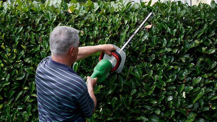 Kahlschlag? Manchmal kann eine Hecke auch die Sicht im Verkehrsgeschehen behindern - in einem Fall wurde deswegen eine Stadt verklagt.