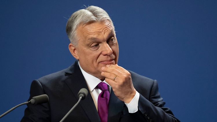 Orban nimmt sich ein Vorbild am russischen Agentengesetz, um die ungarische Zivilgesellschaft unter Druck zu setzen.