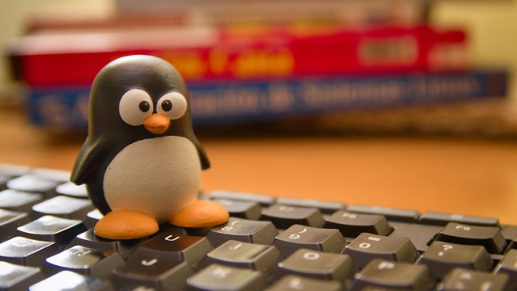 Der Pinguin ist das Linux-Symbol.