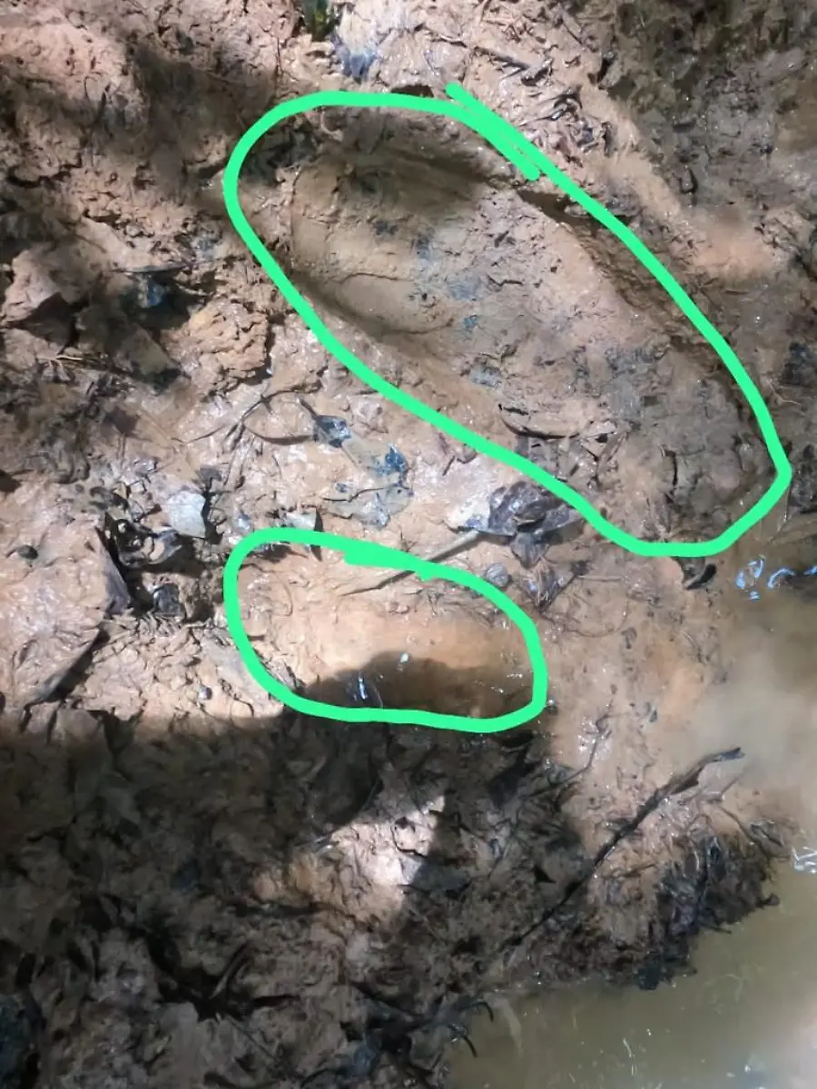 fd89cbb1abfde18004ba86ddb267f05a