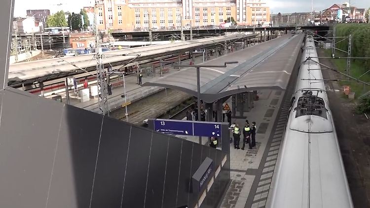 Hamburg Gleise 1314.jpg