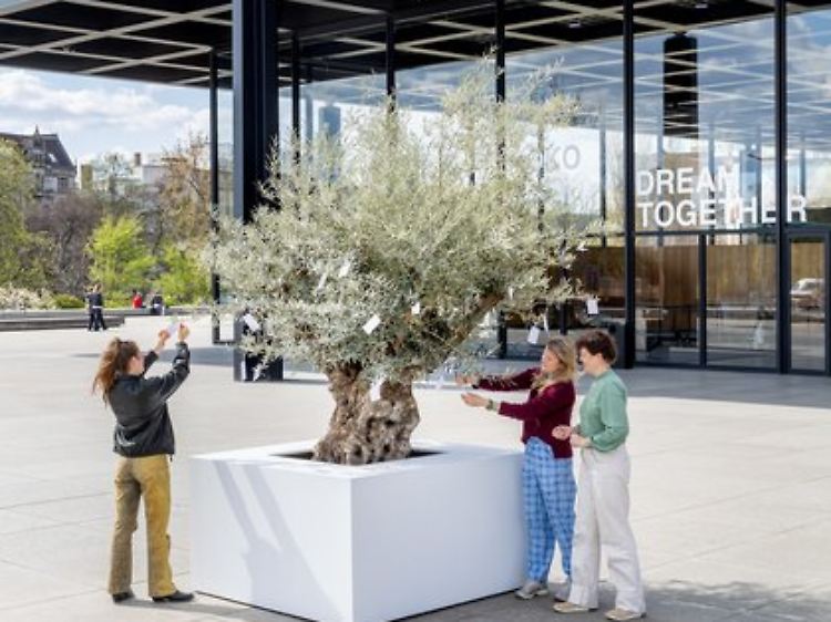 Der verloren wirkende "Wish Tree" vor der Neuen Nationalgalerie ist der Anknüpfungspunkt zu den vielen Wunschbäumen im Gropius Bau.