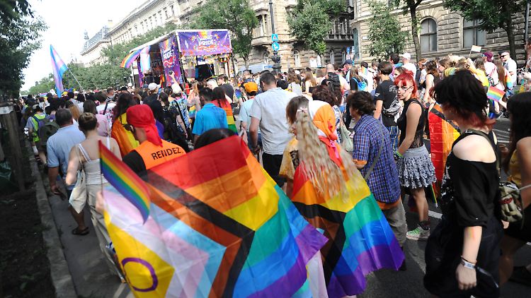 Die Zukunft von Pride-Paraden in Ungarn ist in Gefahr.
