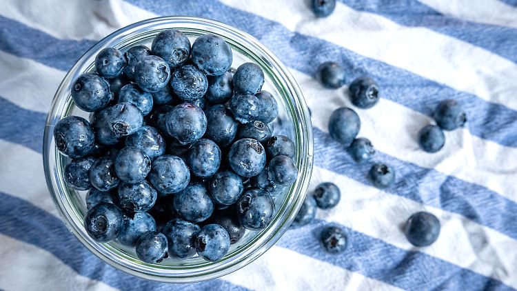 So klein, so simpel, so gesund: Die Blau- oder auch Heidelbeere. 