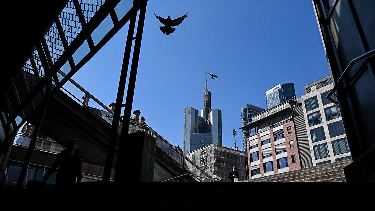 Ein geplantes Treffen der Angeklagten in Frankfurt am Main mit ihrem Opfer scheiterte.
