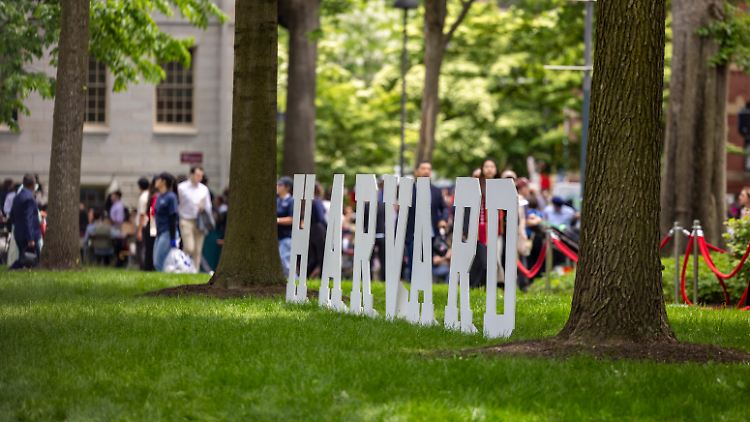 In Harvard machen internationale Studentinnen und Studenten 27 Prozent aller Studierenden aus.