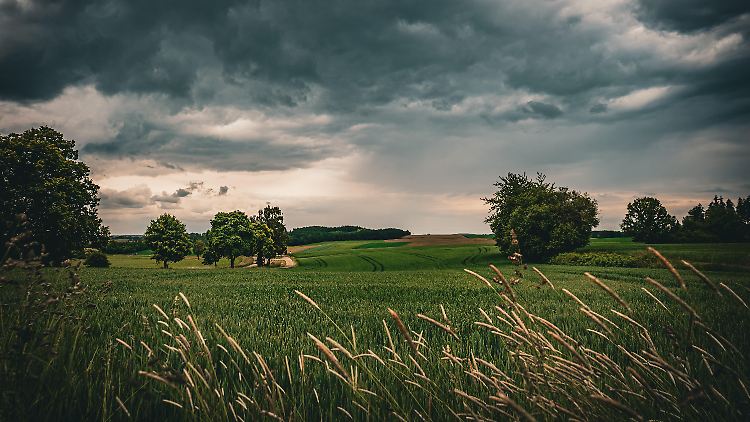 Vor allem die Mitte Deutschlands muss sich auf dunkle Wolken einstellen. 