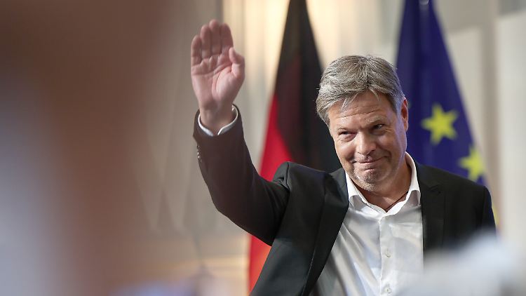Ohne Habeck wirkten die Grünen verbissen, grau, uncool, schreibt unser Kolumnist.