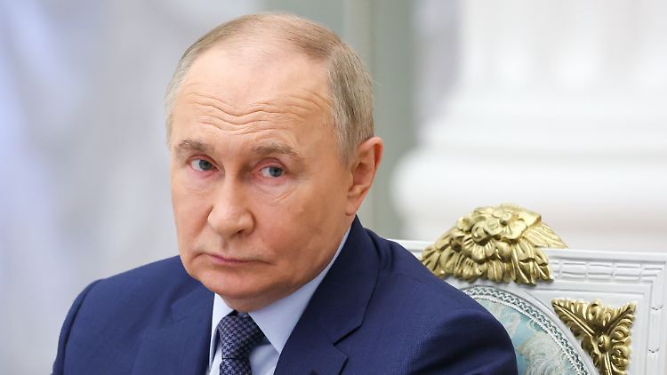 In Putins Russland herrscht eine Kartoffelkrise.