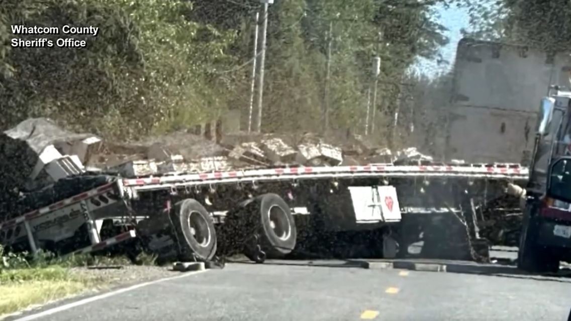 Bienen_Unfall.jpg