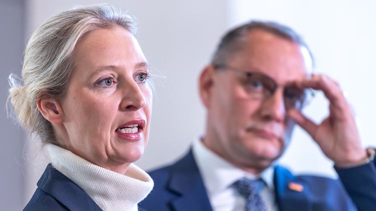 Wer Alice Weidel "Nazischlampe" nennt, muss mit einer Strafanzeige rechnen. 