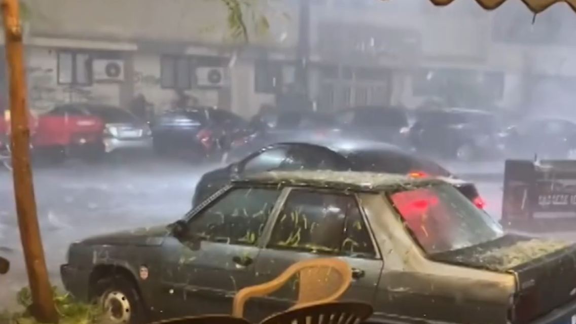 Alexandria.jpg