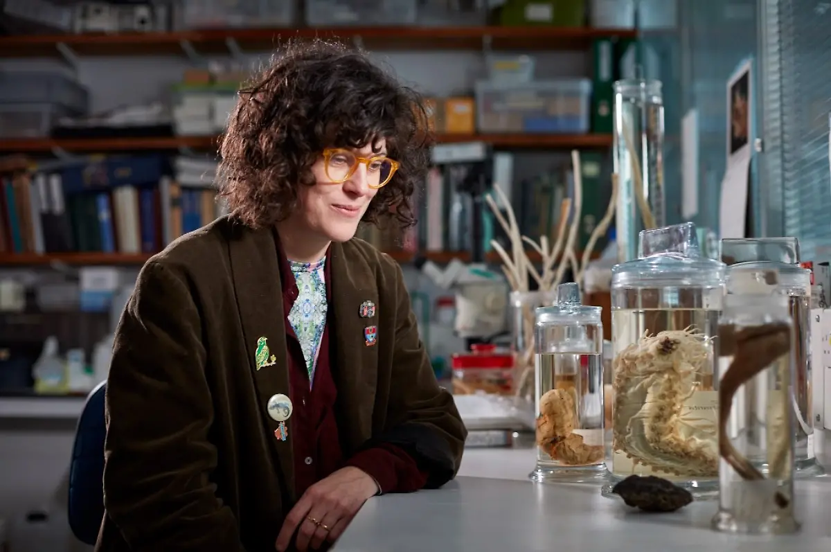 urn-binary-dpa-com-20090101-230523-99-797274-FILED