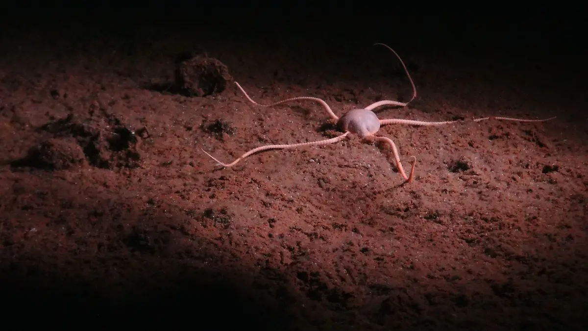 urn-binary-dpa-com-20090101-230523-99-797288-FILED