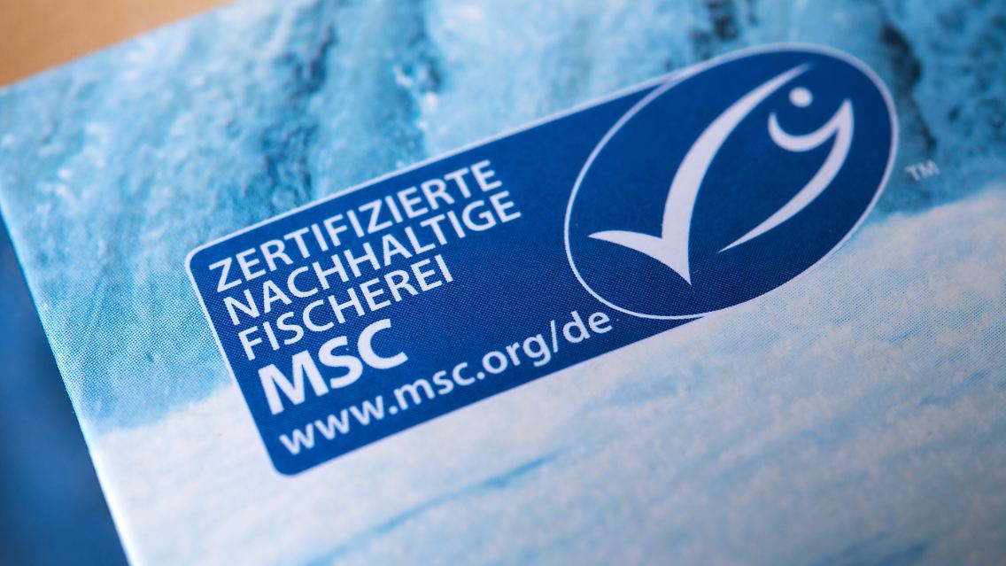 Das Siegel darf bald bei Seelachs aus der Nordsee nicht mehr benutzt werden.