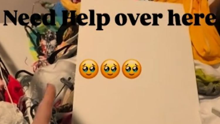 fleur.jpg