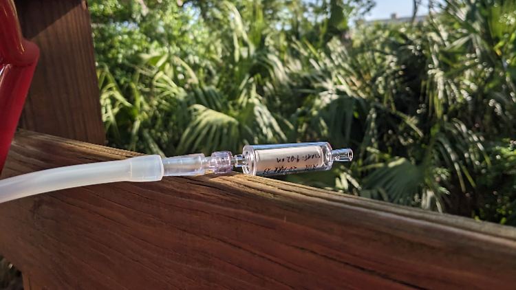 Luft-DNA-Analyse in Florida: Die Methode kann sogar Verwandtschaftsverhältnisse zwischen Rotluchs-Populationen aufdecken.