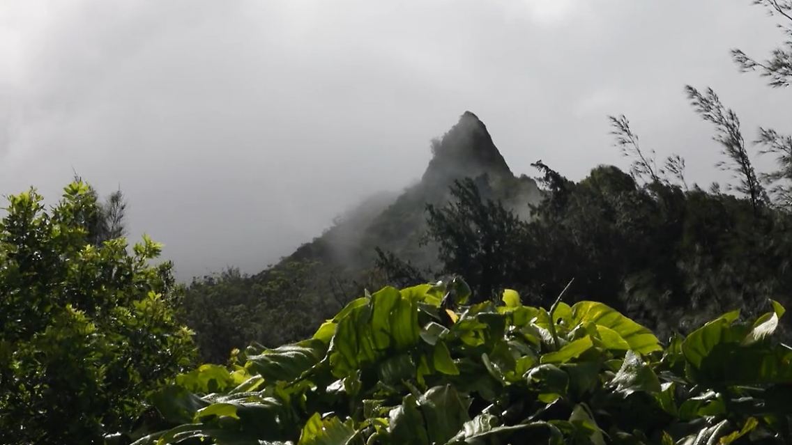 Maui Berg.jpg