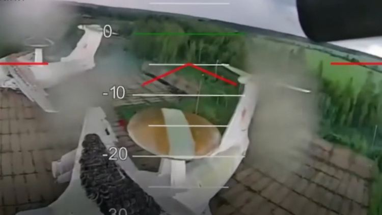 Ukraine Spinnennetz.jpg