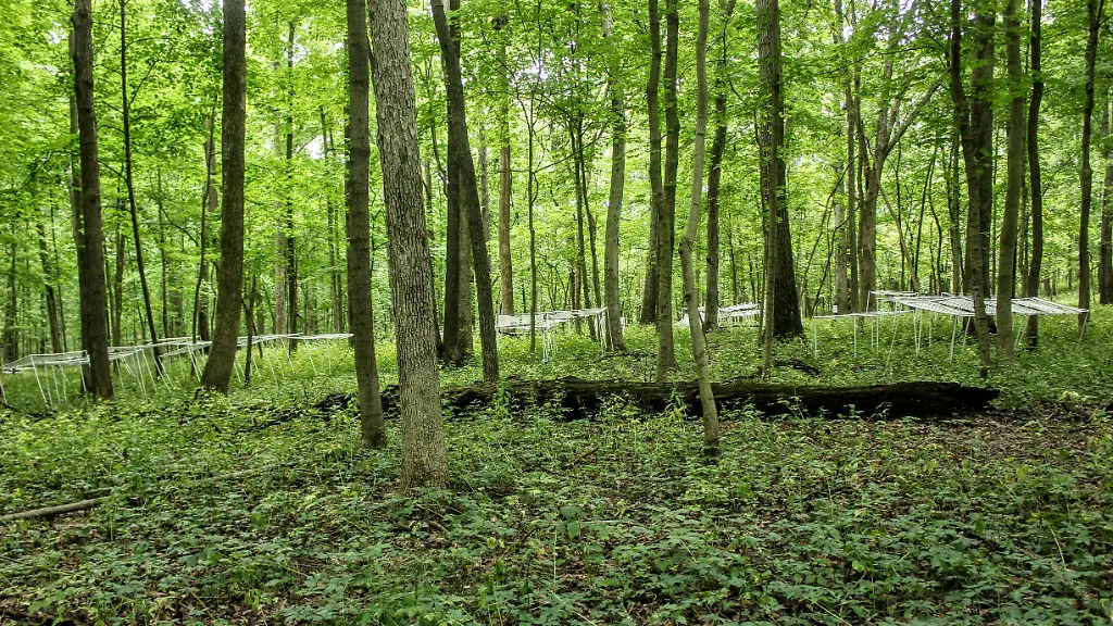 urn-binary-dpa-com-20090101-230523-99-795727-FILED