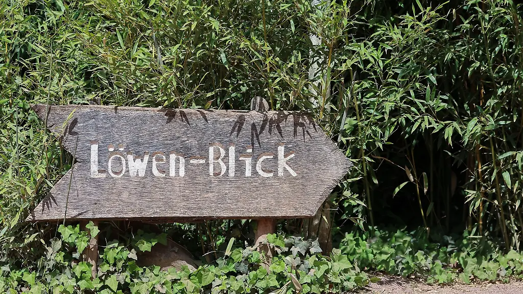 Ein-Schild-weist-den-Weg-zu-einem-Aussichtspunkt-im-Leipziger-Zoo
