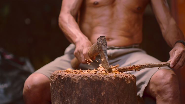 Ayahuasca wird aus Lianen gewonnen. 
