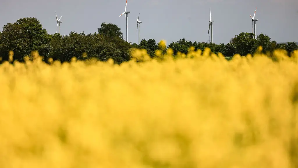 Windraeder-drehen-sich-hinter-einem-Rapsfeld-in-der-Eifel