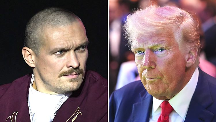 Usyk fordert Trump zum Besuchen und Helfen auf.