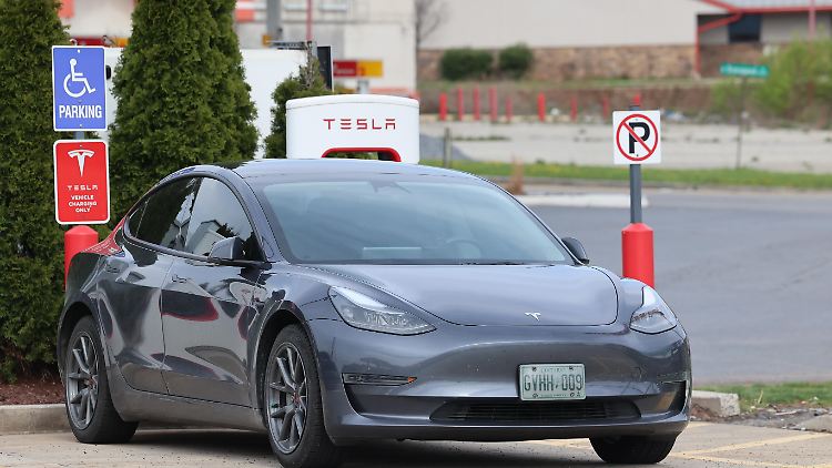 Das handelsübliche Model Y soll fahrerlos eingesetzt werden. 