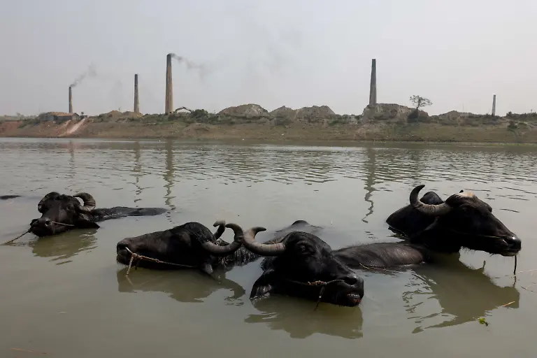 2023-04-19T230108Z-1560396594-RC2UKZ9TOQTH-RTRMADP-3-EARTH-DAY-BANGLADESH-RIVER