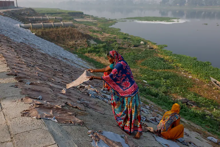 Frauen-trocknen-Rinderhaeute-vor-einer-Gerberei