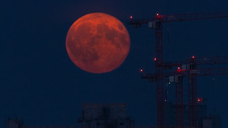 Optische Täuschung: Wenn der Mond knapp über dem Horizont steht, erscheint er größer als üblich.