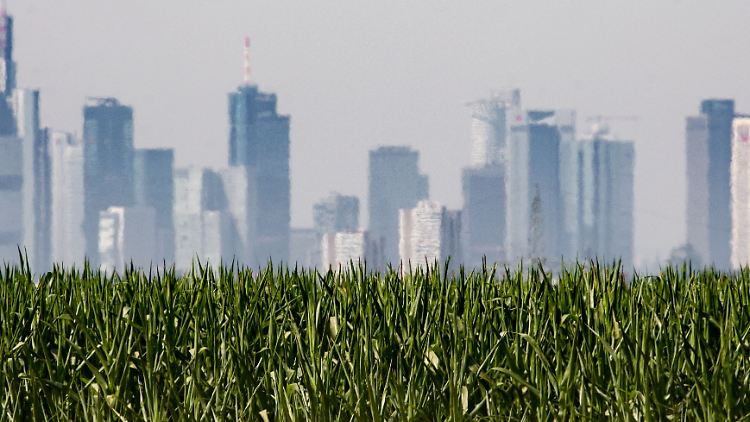 Auch Frankfurt am Main zählt zu den Städten, deren Bewohner bei Hitzewellen am stärksten betroffen sind.