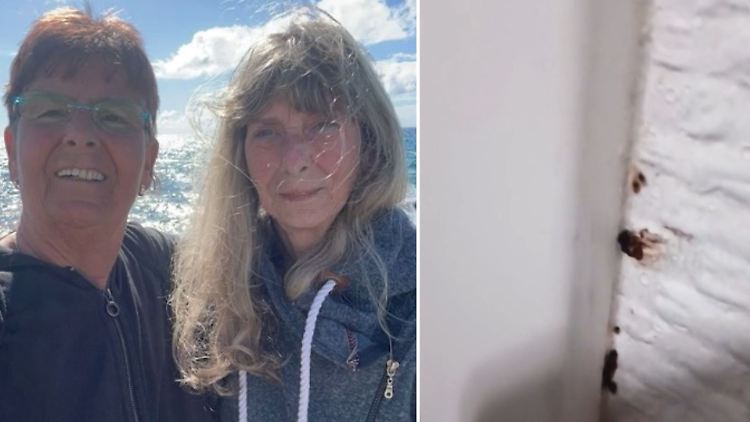 Schwestern Bettwanzen.jpg