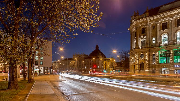 Künstliches Licht trägt laut den Forschern am stärksten zur  verlängerten Wachstumsphase der Pflanzen in Städten bei.