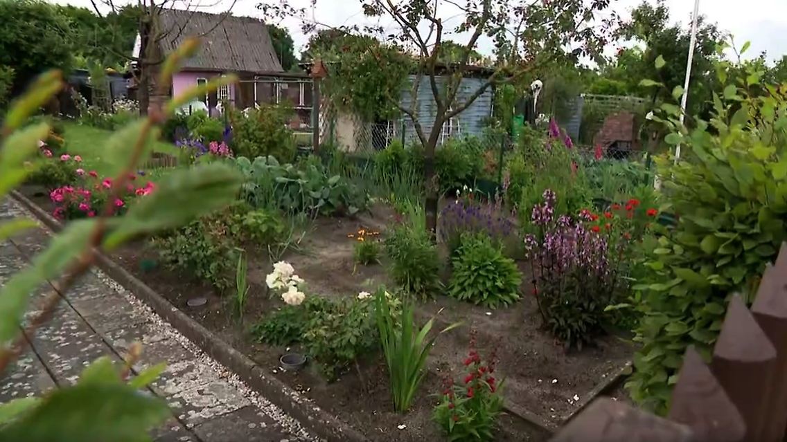 garten.jpg