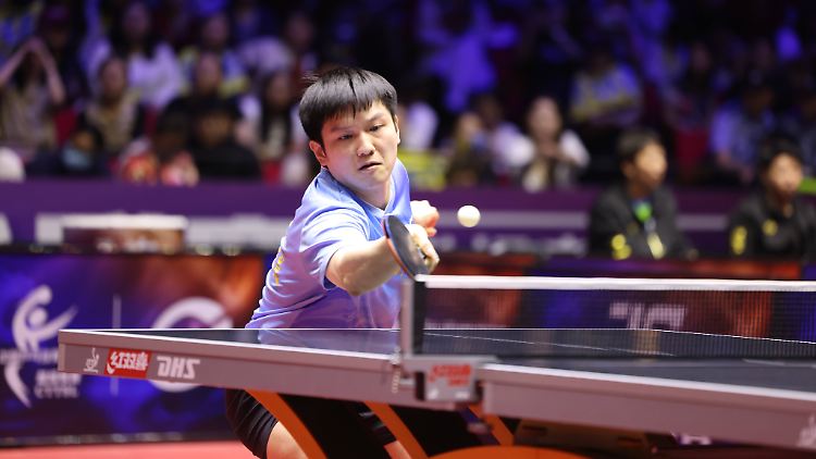 Ex-Weltmeister Fan Zhendong ist die neue Attraktion in der Tischtennis-Bundesliga.