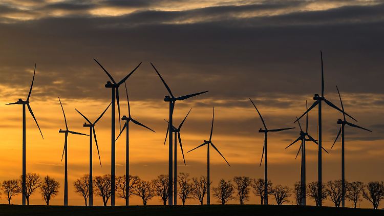 Der Stromanbieter hat Ökostrom-Tarife im Angebot? Das muss nicht unbedingt heißen, dass er sich auch am Ausbau erneuerbarer Energien beteiligt. 
