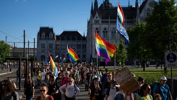 Ungarn protestieren im Mai in Budapest gegen ein neues Gesetz der Regierung, das LGBTQ-Versammlungen verbietet. 