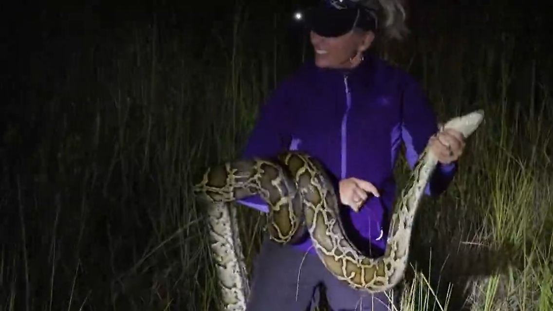 Schlangen-Jägerin Python.jpg