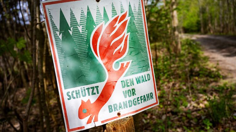 In Teilen Deutschlands gilt Waldbrand-Gefahrenstufe 5 und schon ein Funken kann zur Katastrophe führen.