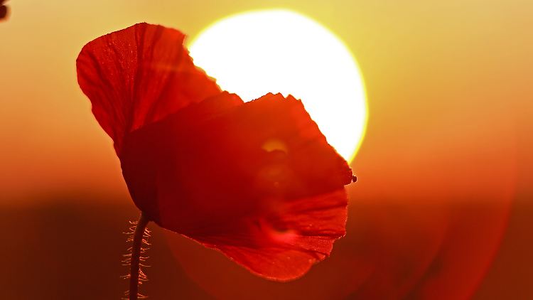 Je weiter nördlich man sich befindet, umso länger sind auch die Tage zur Sommersonnenwende.