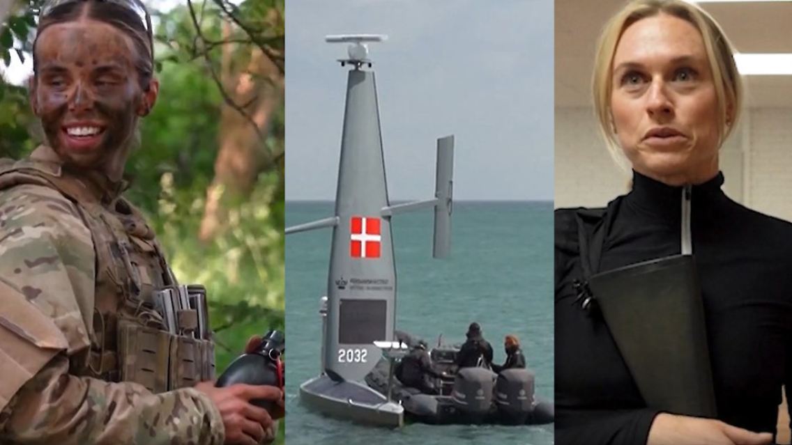 Dänemark_Kriegstauglichkeit.jpg
