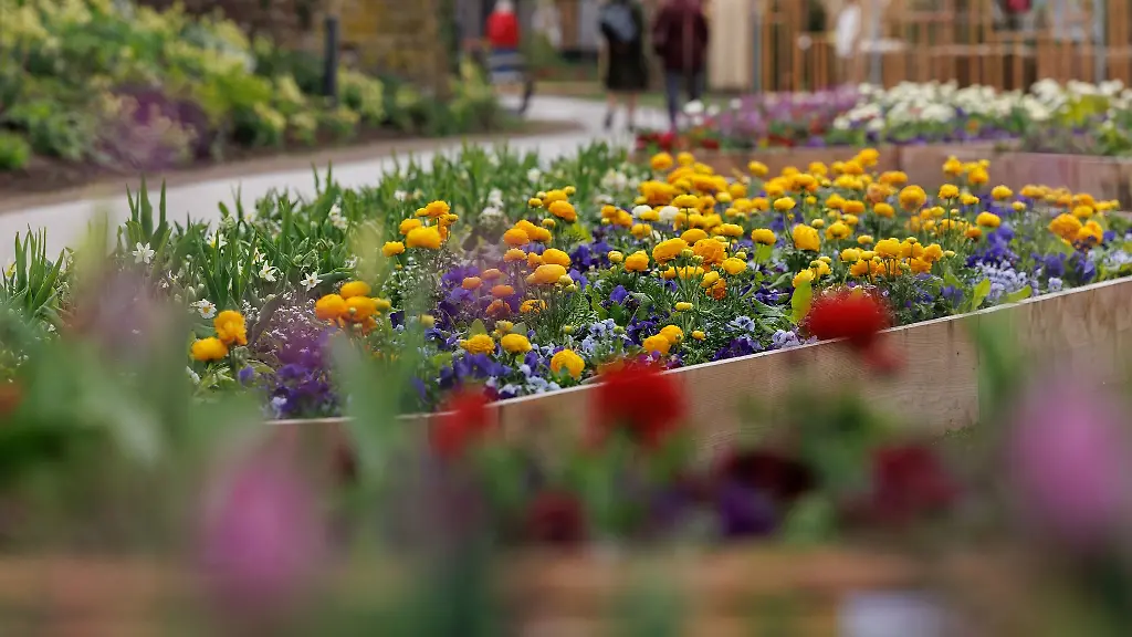 Blick-auf-ein-Blumenbeet-auf-dem-Gelaende-der-Landesgartenschau